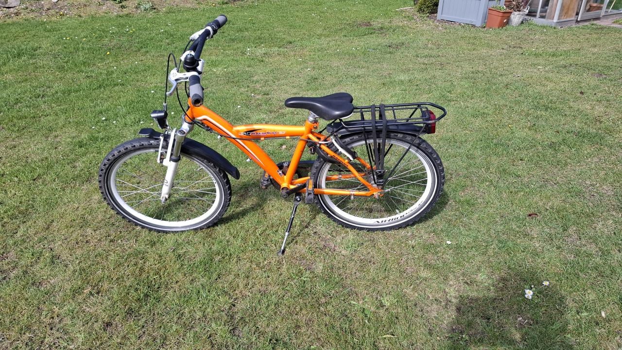 Batavus Snake 22 inch