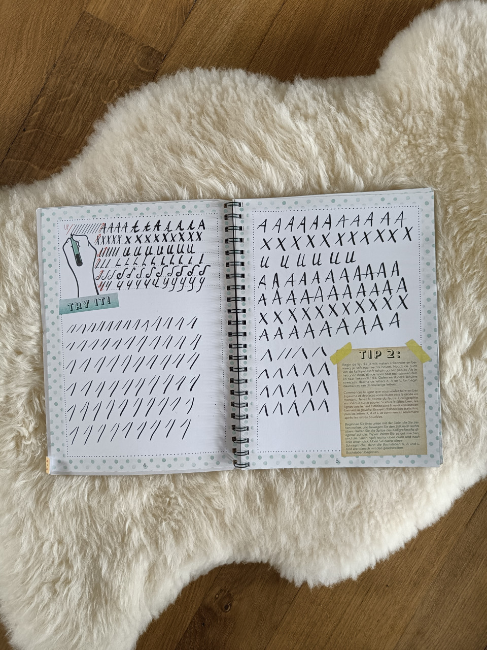 Handlettering boek