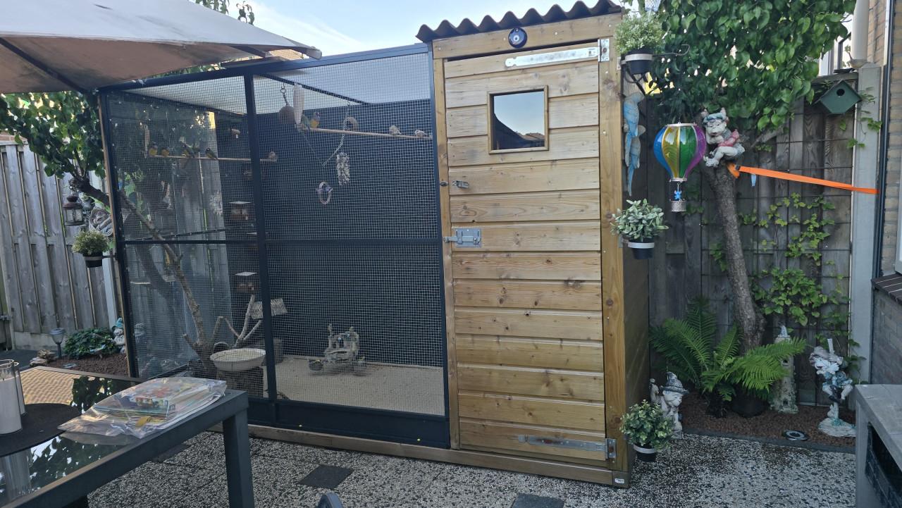 Te koop tropische vogels