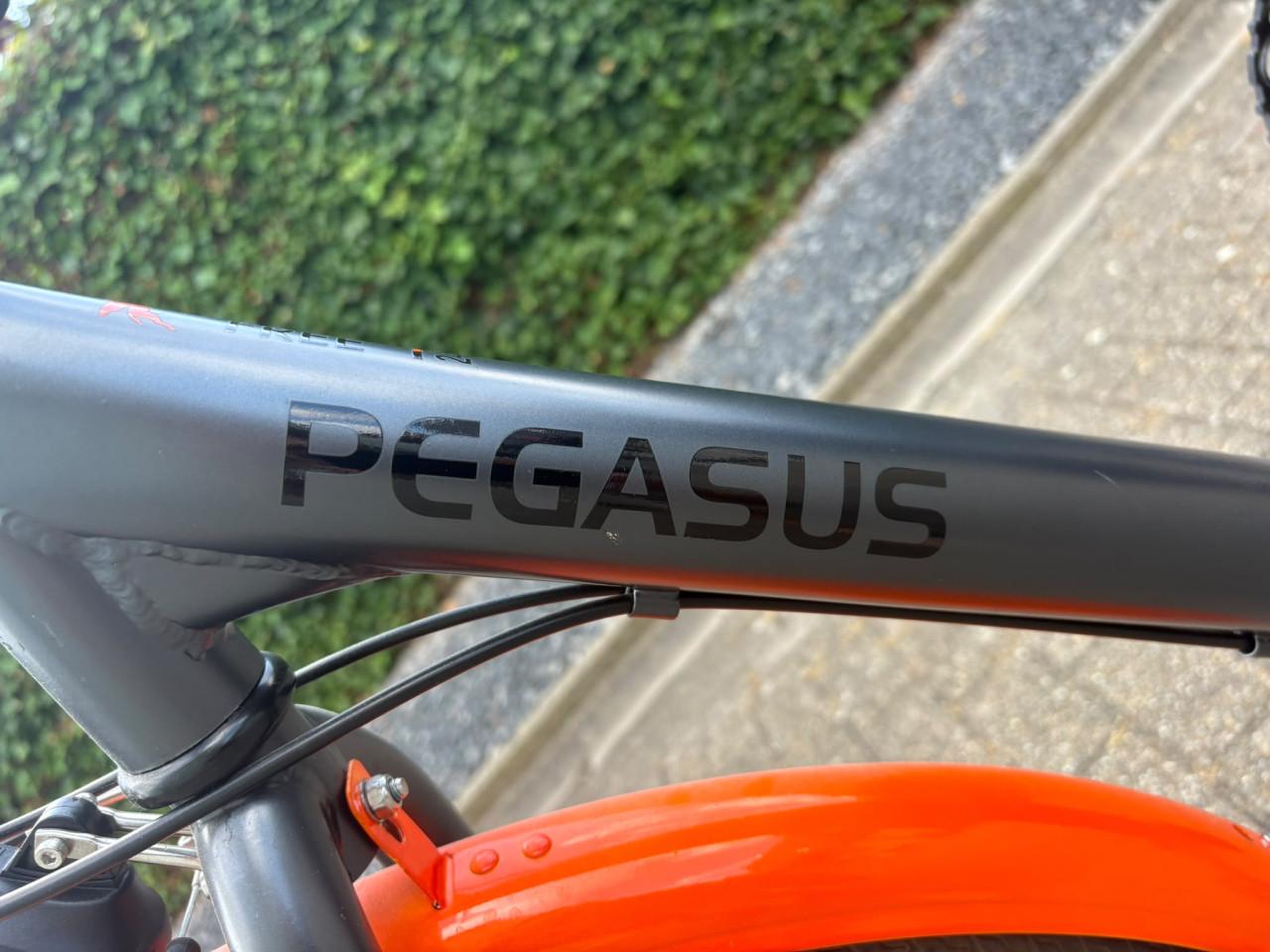 Fiets pegasus 24 inch