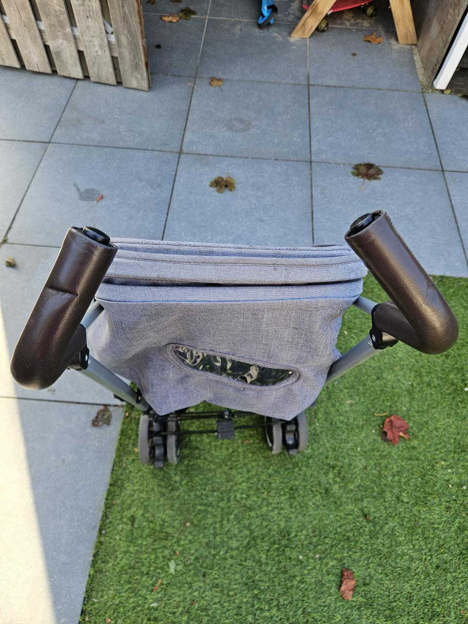 Buggy Koelstra