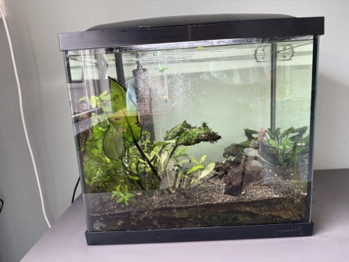 Aquarium Superfish 70
