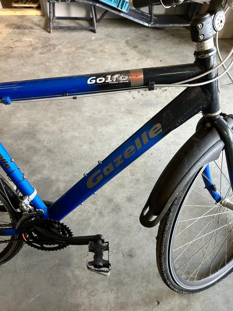 GAZELLE GOLFO