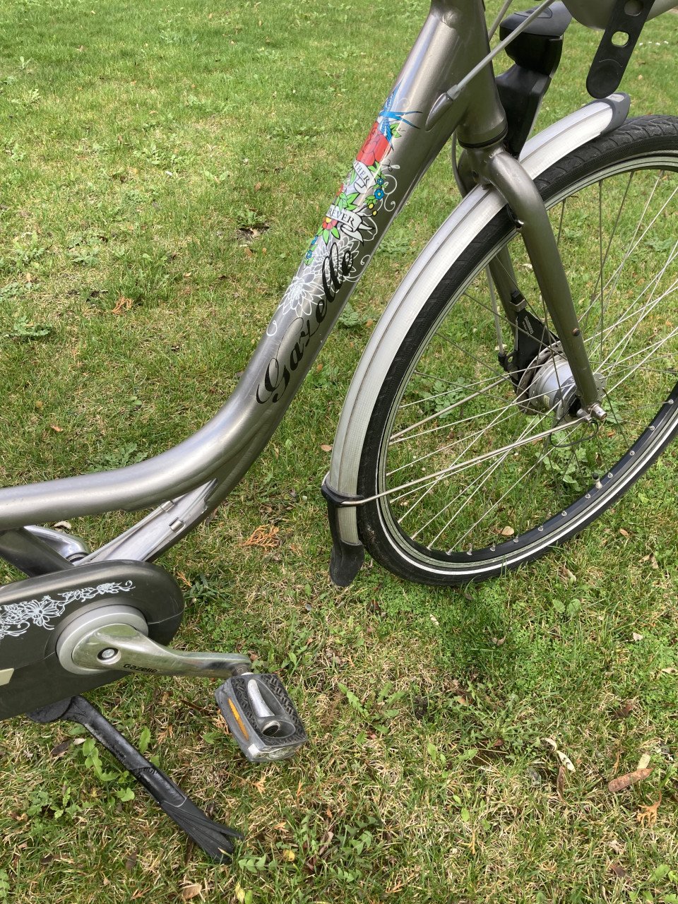 Gazelle Bloom mamafiets