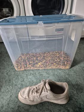 Gratis af te halen: grote plastic bak konijnenvoer