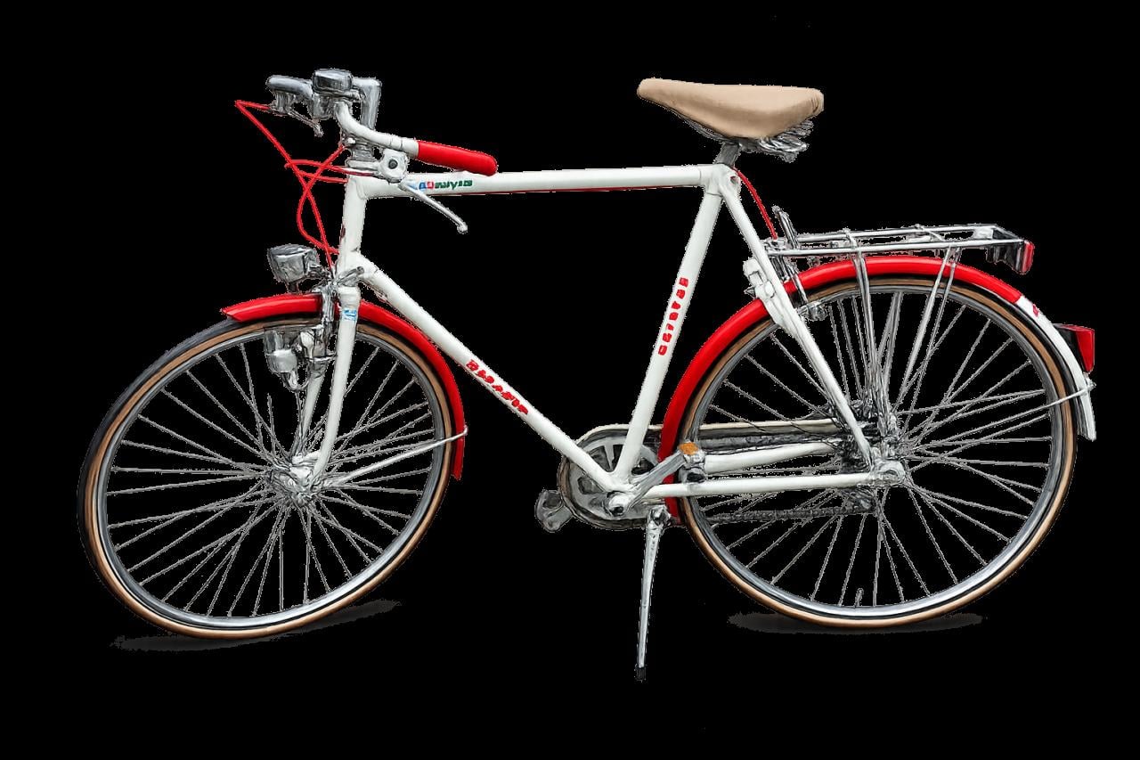 Batavus - Wayler