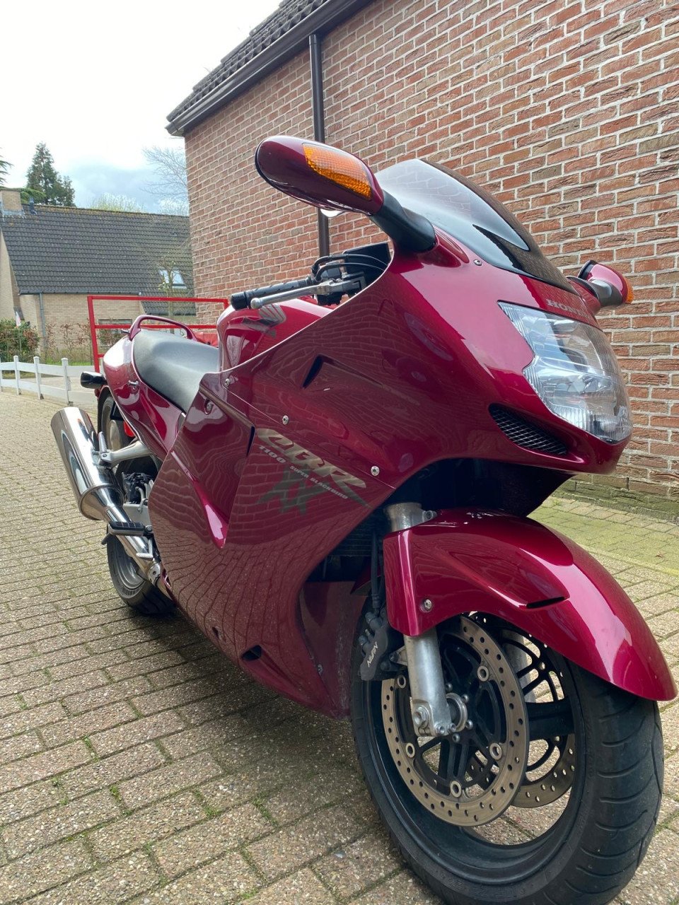 Honda blackbird