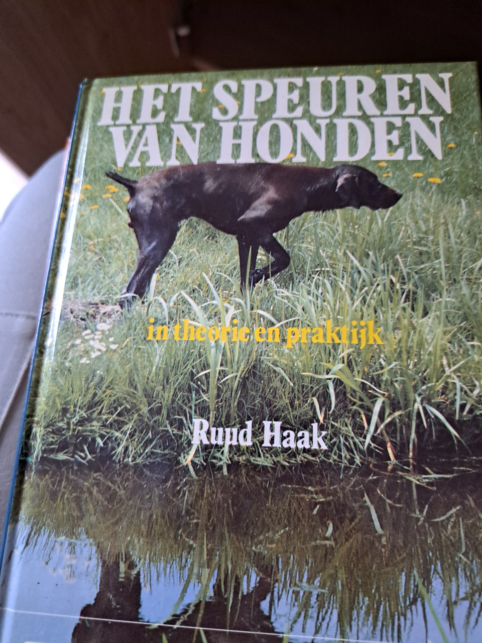 Reddingshonden,behendigheid, speuren van hondenen gedrag en gehoorzaamheid