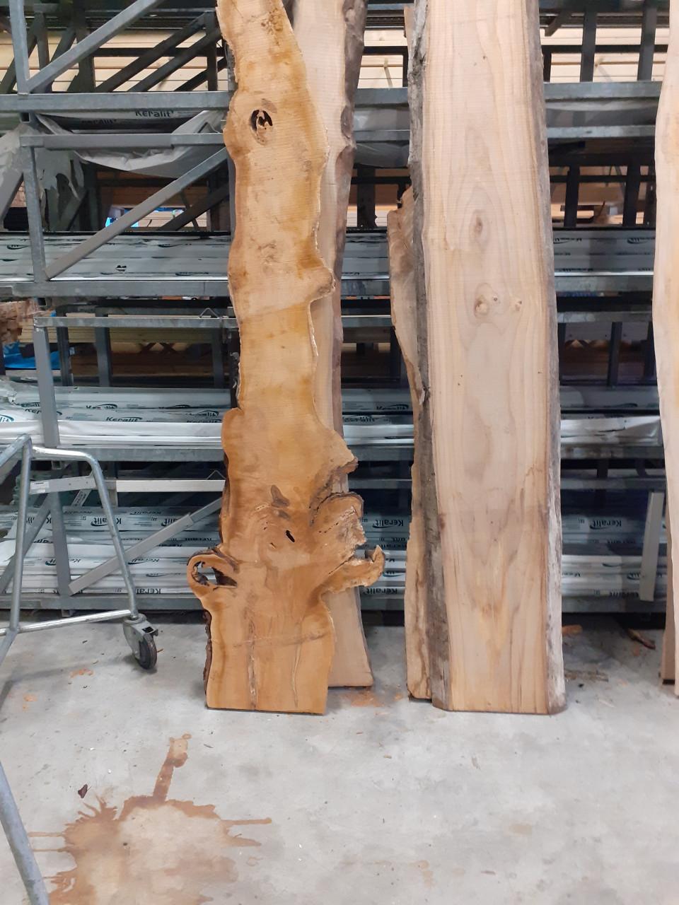 Kersen boomstamblad voor 25 euro