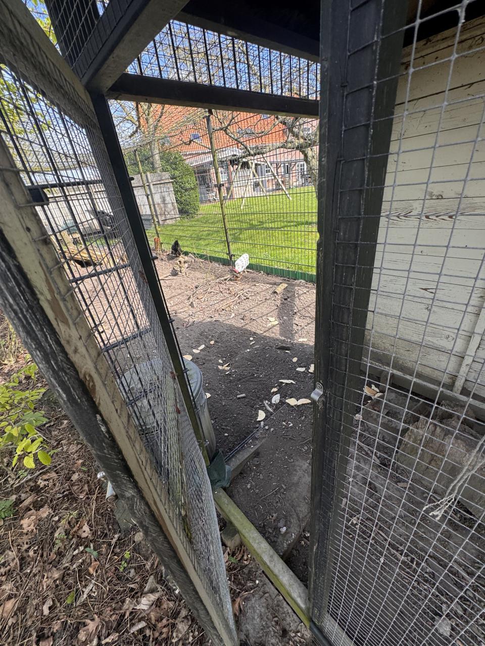 2 legkippen incl. hok