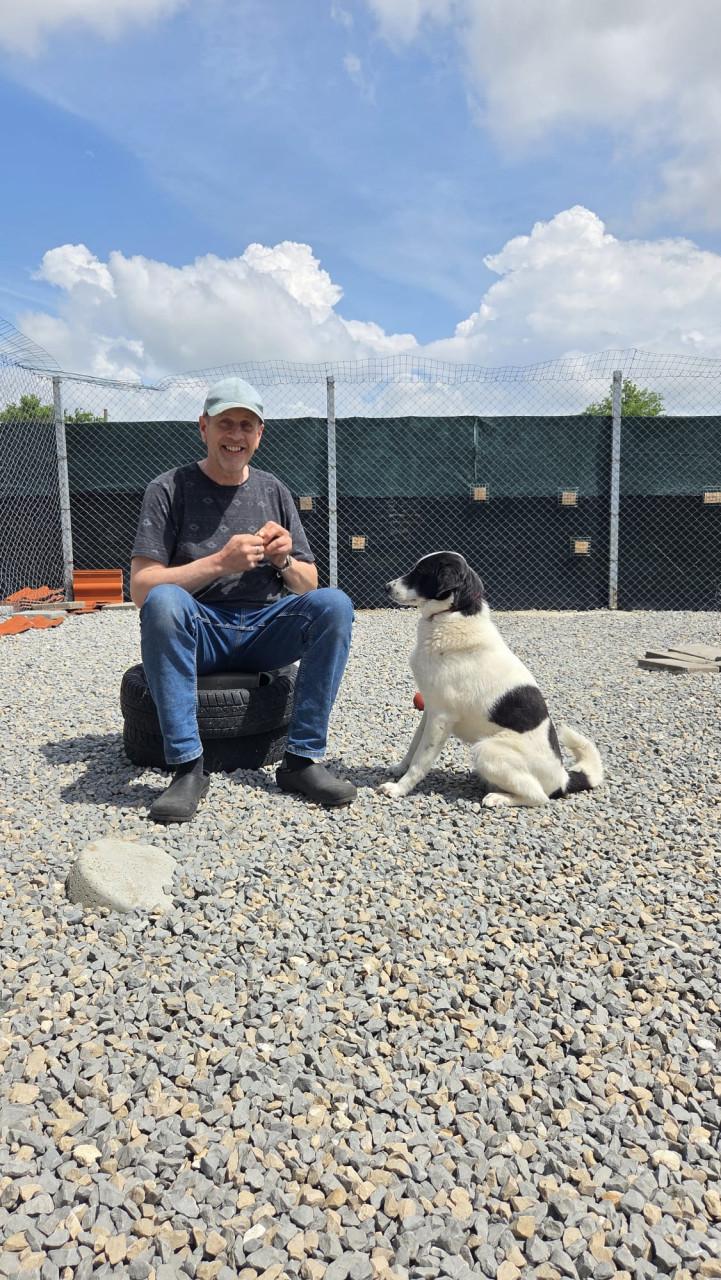 Hond zoekt baasje