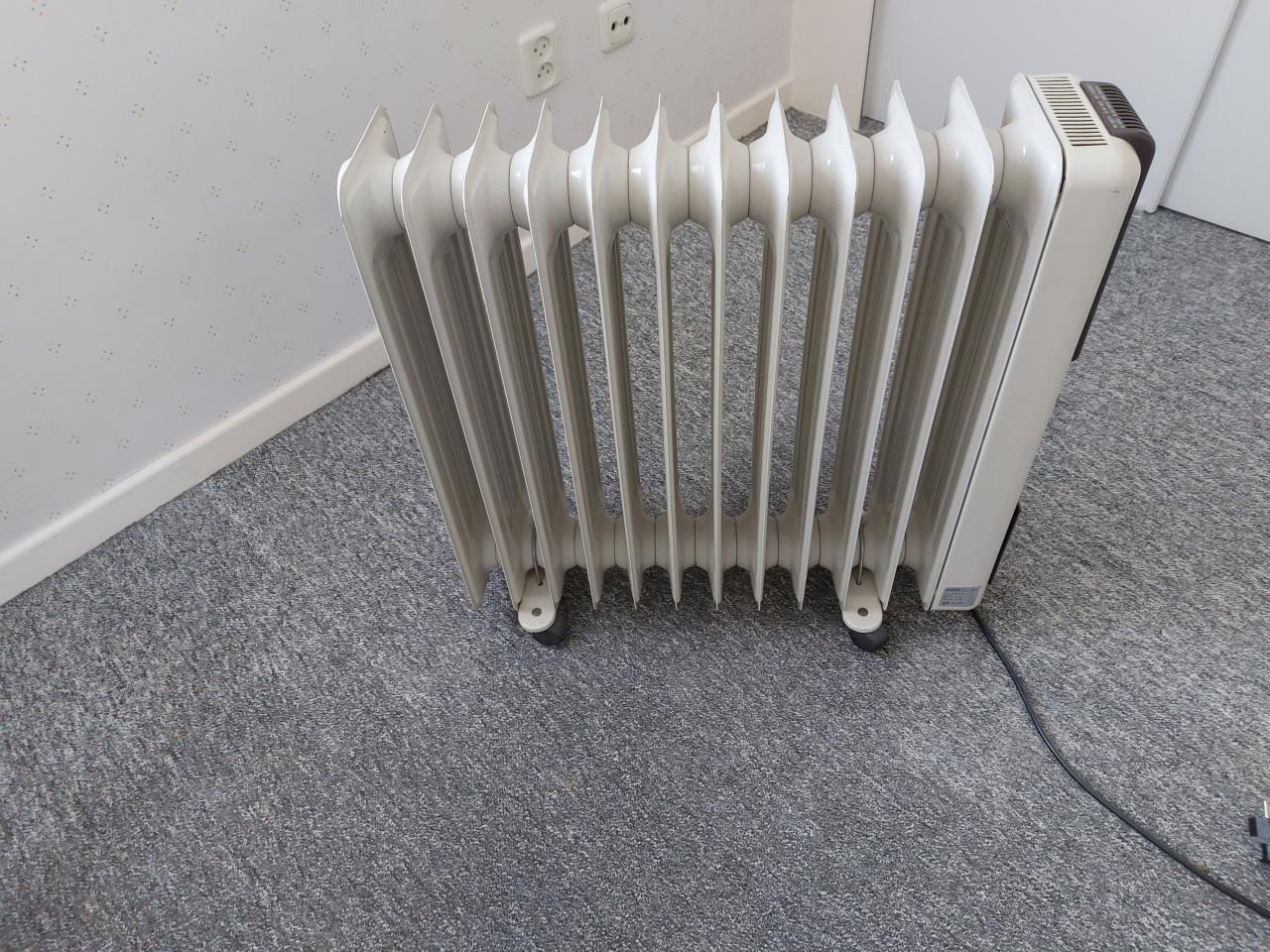 Oliegevulde elektrische radiator,  2 stuks