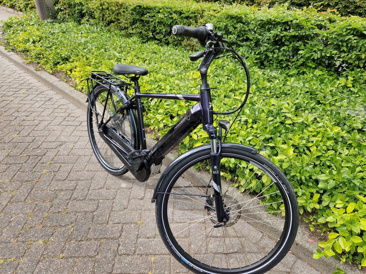 Schitterende Pegasus elektrische heren fiets met Bosch middenmotor