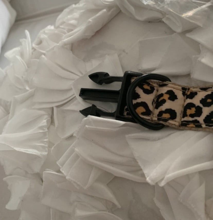 Honden halsband met riem