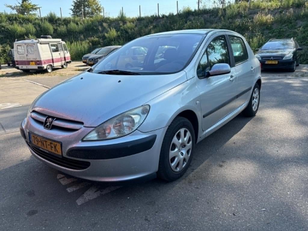Peugeot 307 1.6-16v xs pack