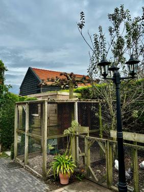 Prachtige lantaarn - Met 3 armen