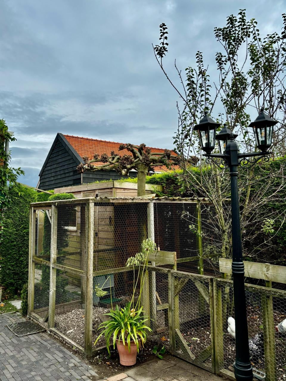 Prachtige lantaarn - Met 3 armen