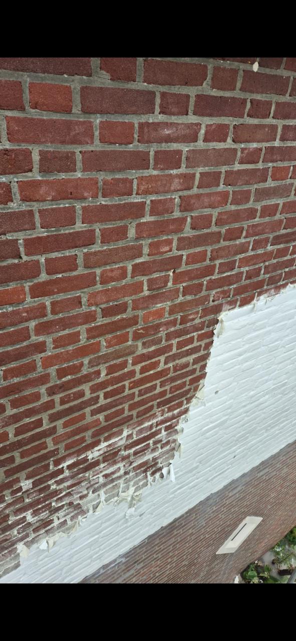 Hogedruk reinigen/schoonmaak tuin/gevel/erven/ straten en meer