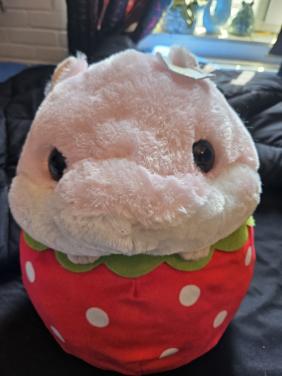 Deken en knuffel