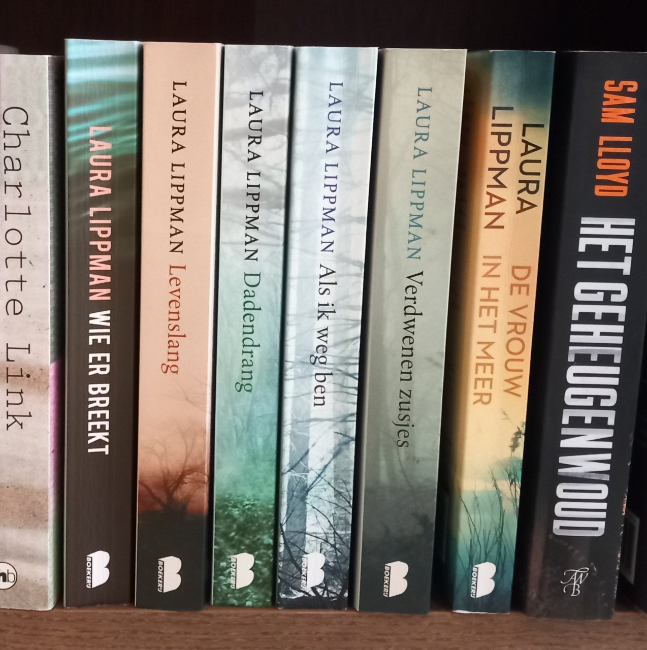 Boeken van Laura Lippman
