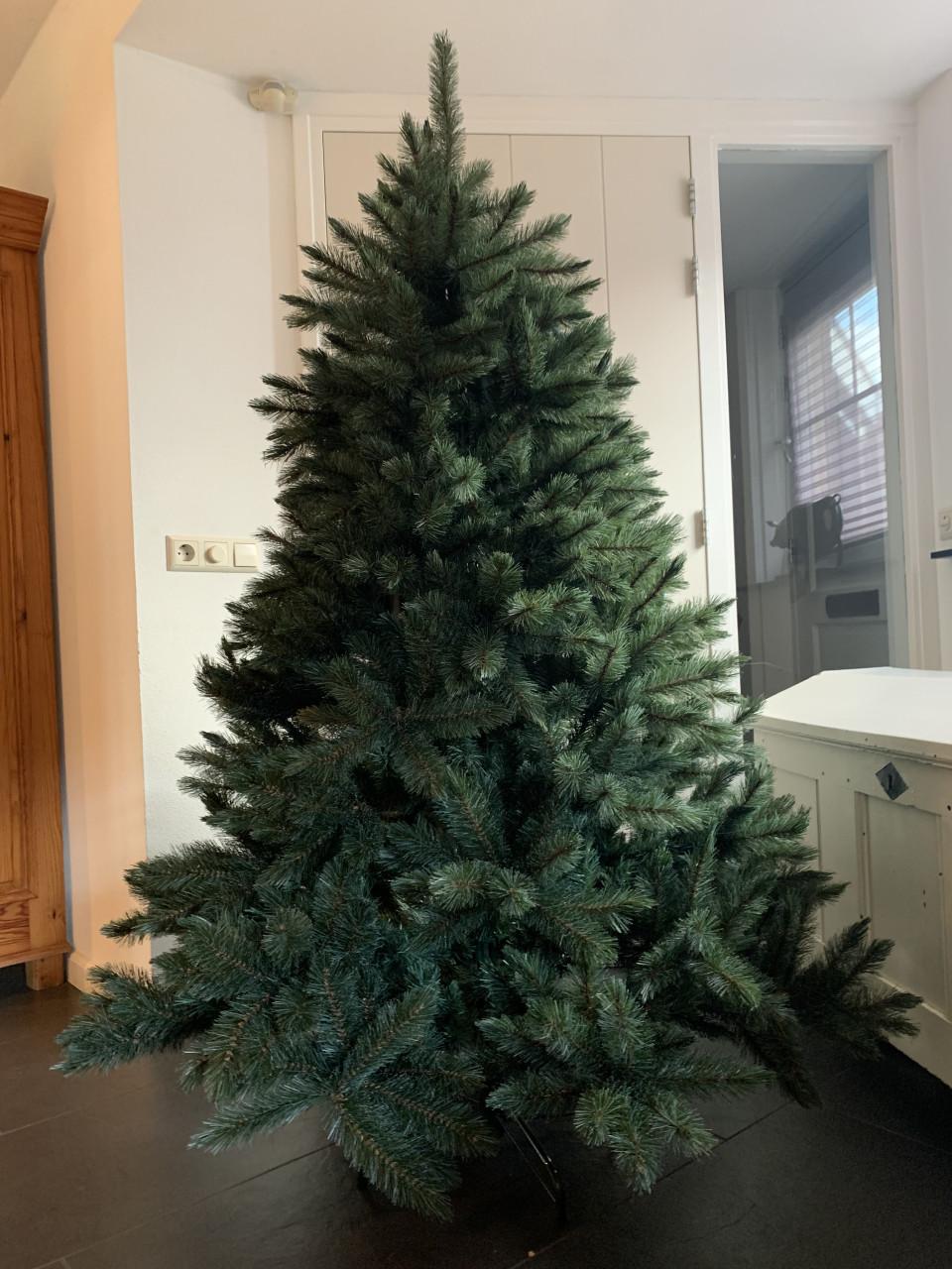 Kerstboom 1.85 m hoog Intratuin 1 jaar oud!