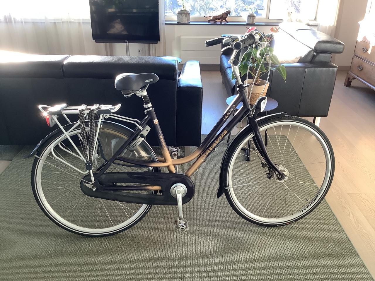 Keurige Batavus Legato