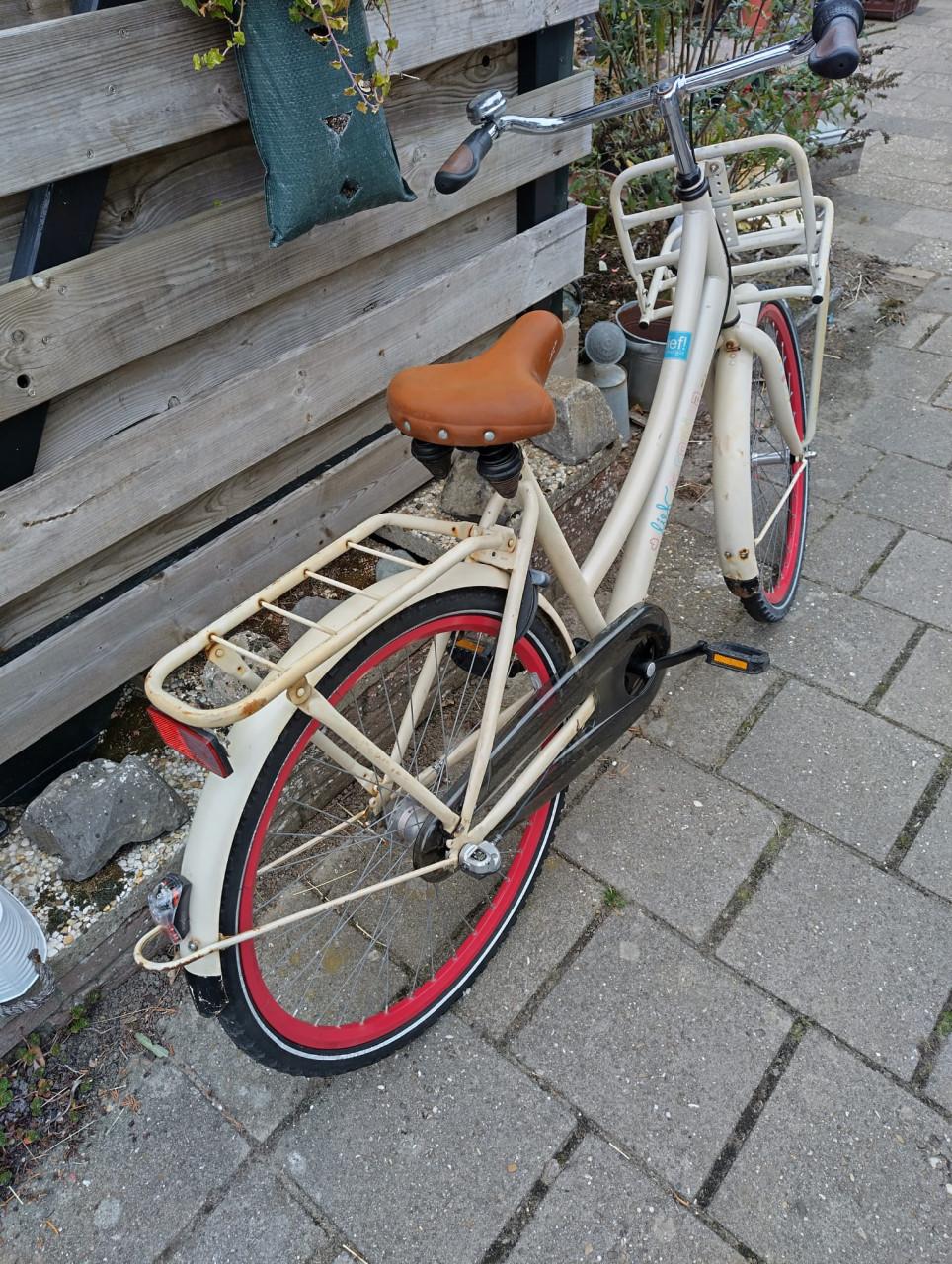 Cortina grote meiden fiets