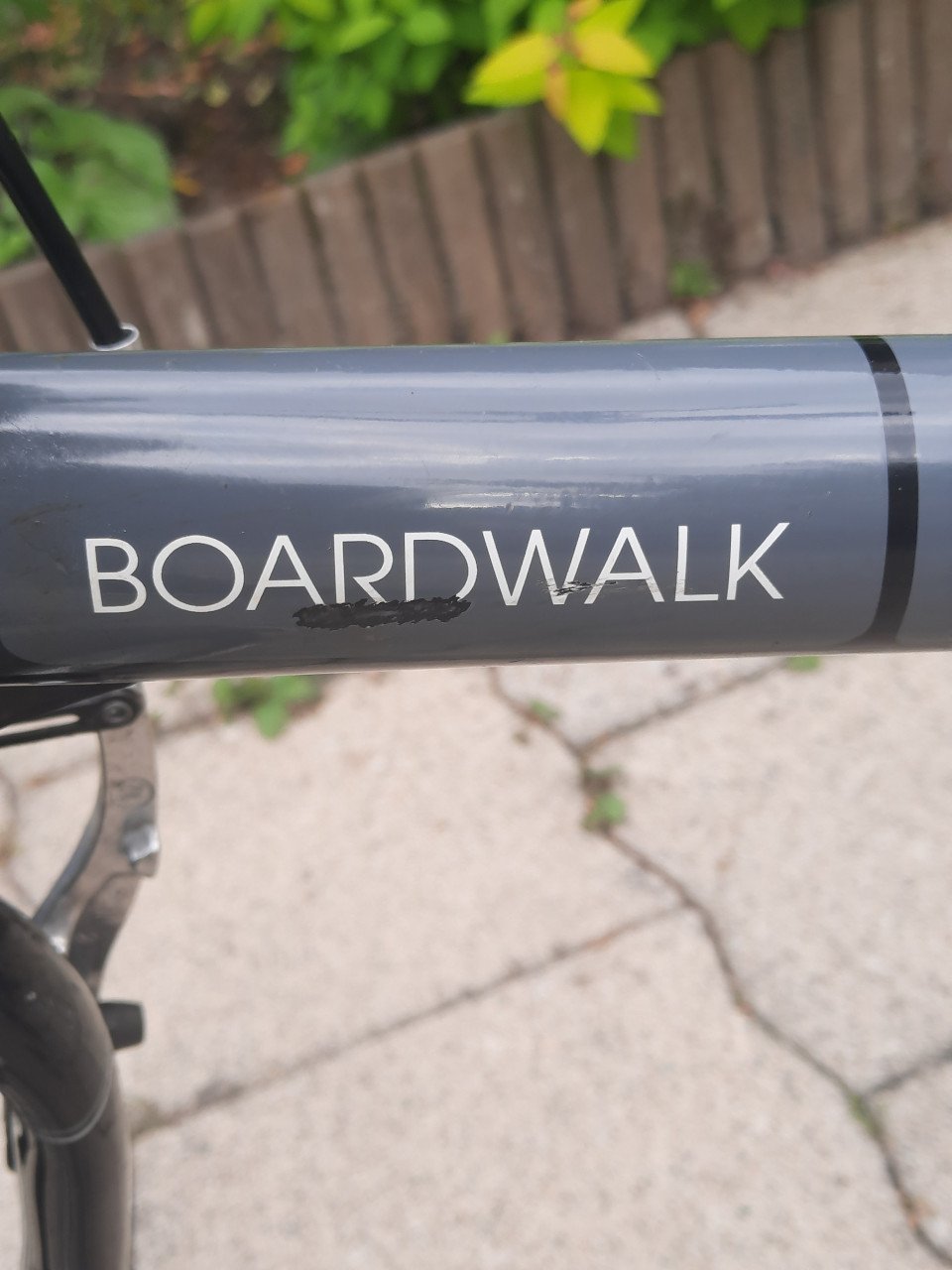 Dahon Boardwalk