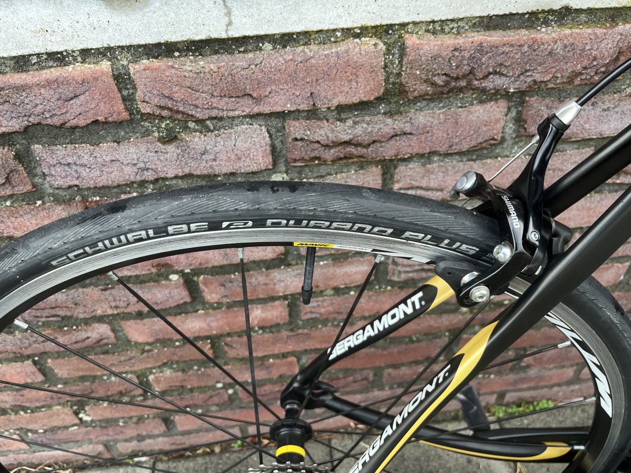 Bergamont Dolce 6.0 56 cm
