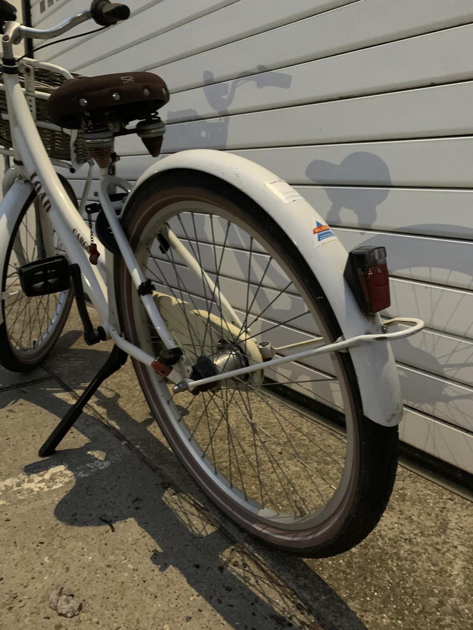Meisjes fiets