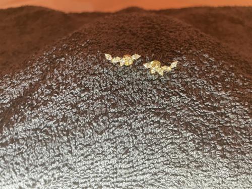 Nieuwe mooie oorbellen/piercings