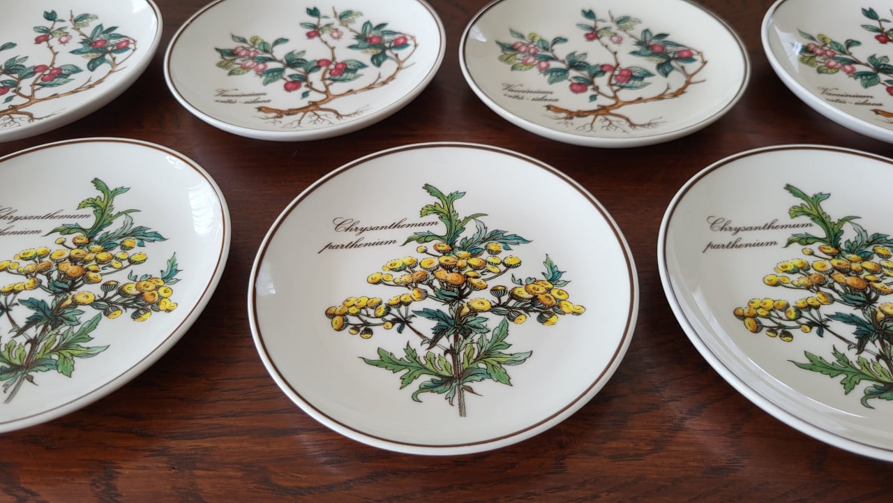 Set v 7 Villeroy & Boch Botanica petit four bordjes - NIEUW