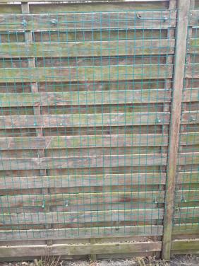 Klimpanelen voor (klim)planten