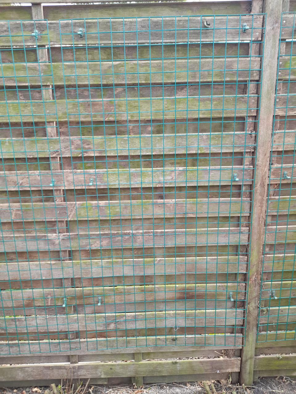 Klimpanelen voor (klim)planten