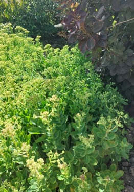 Tuinman/tuinvrouw