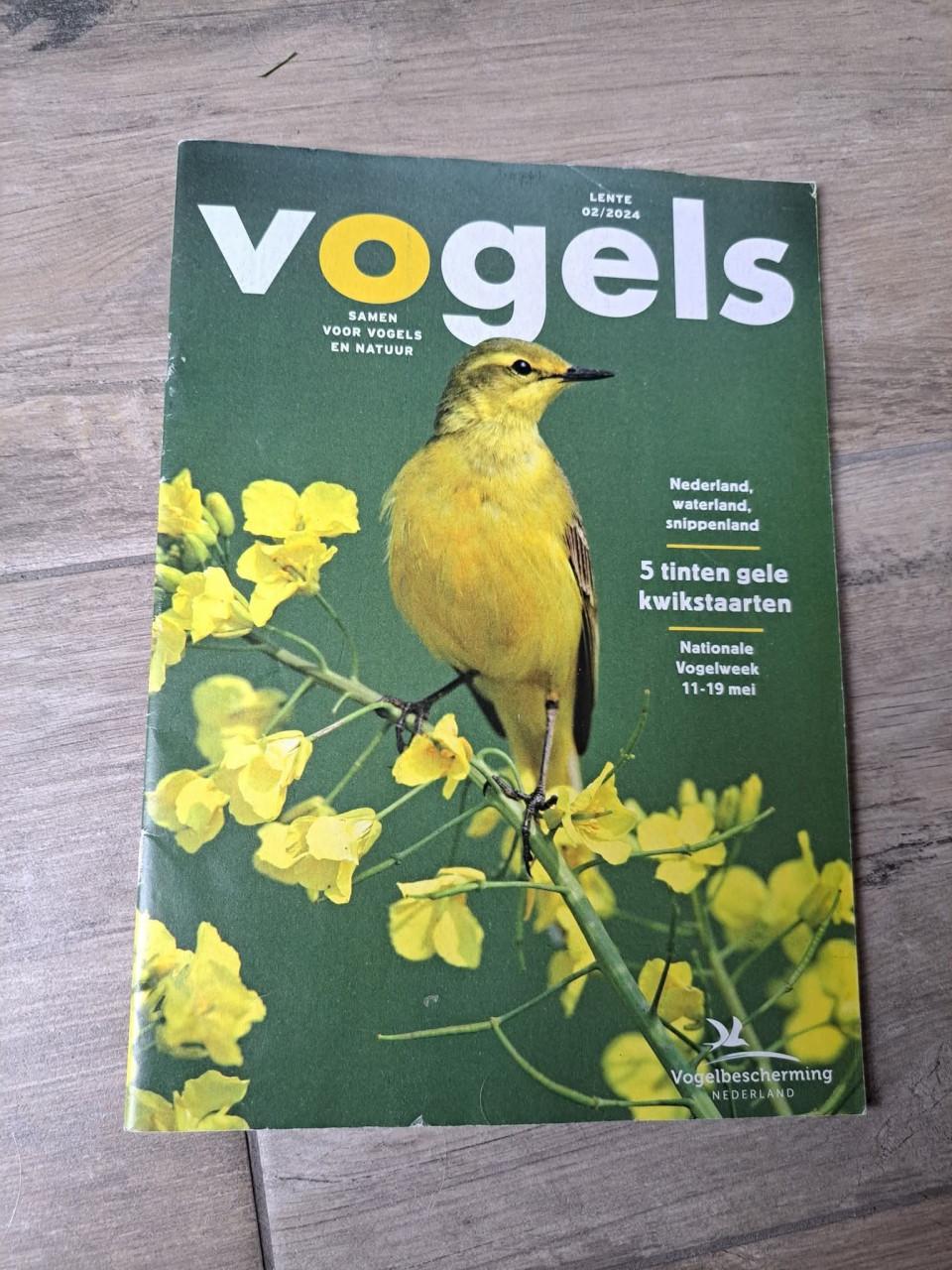 Vogels