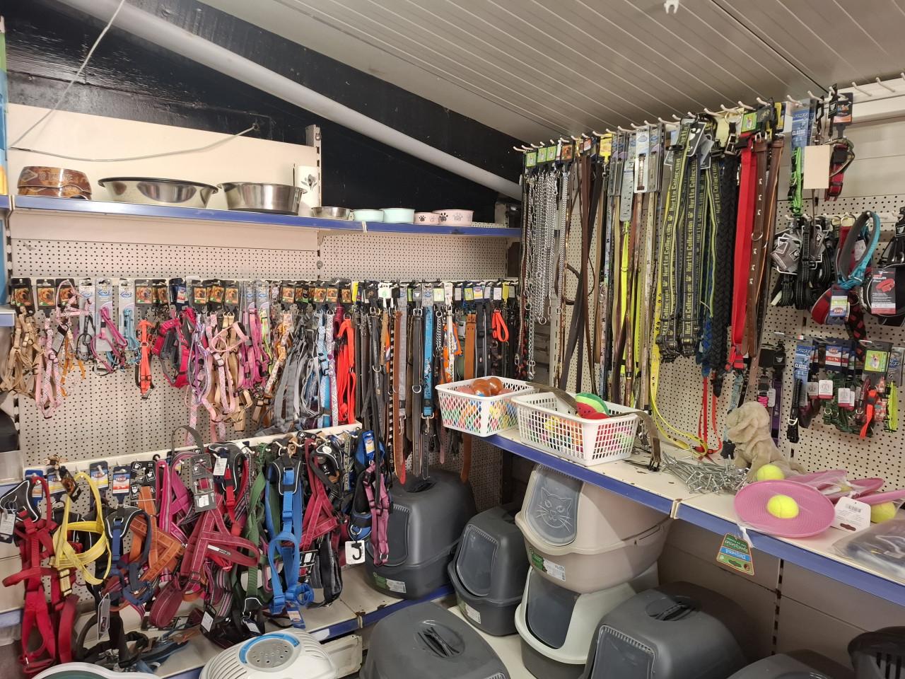 50 % KORTING op alle hondenriemen, tuigjes enz.