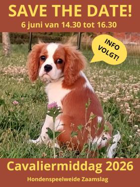 Save the date! 6 juni Cavaliermiddag 2026 Zaamslag