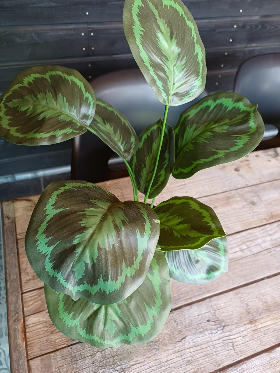 Kunst plant