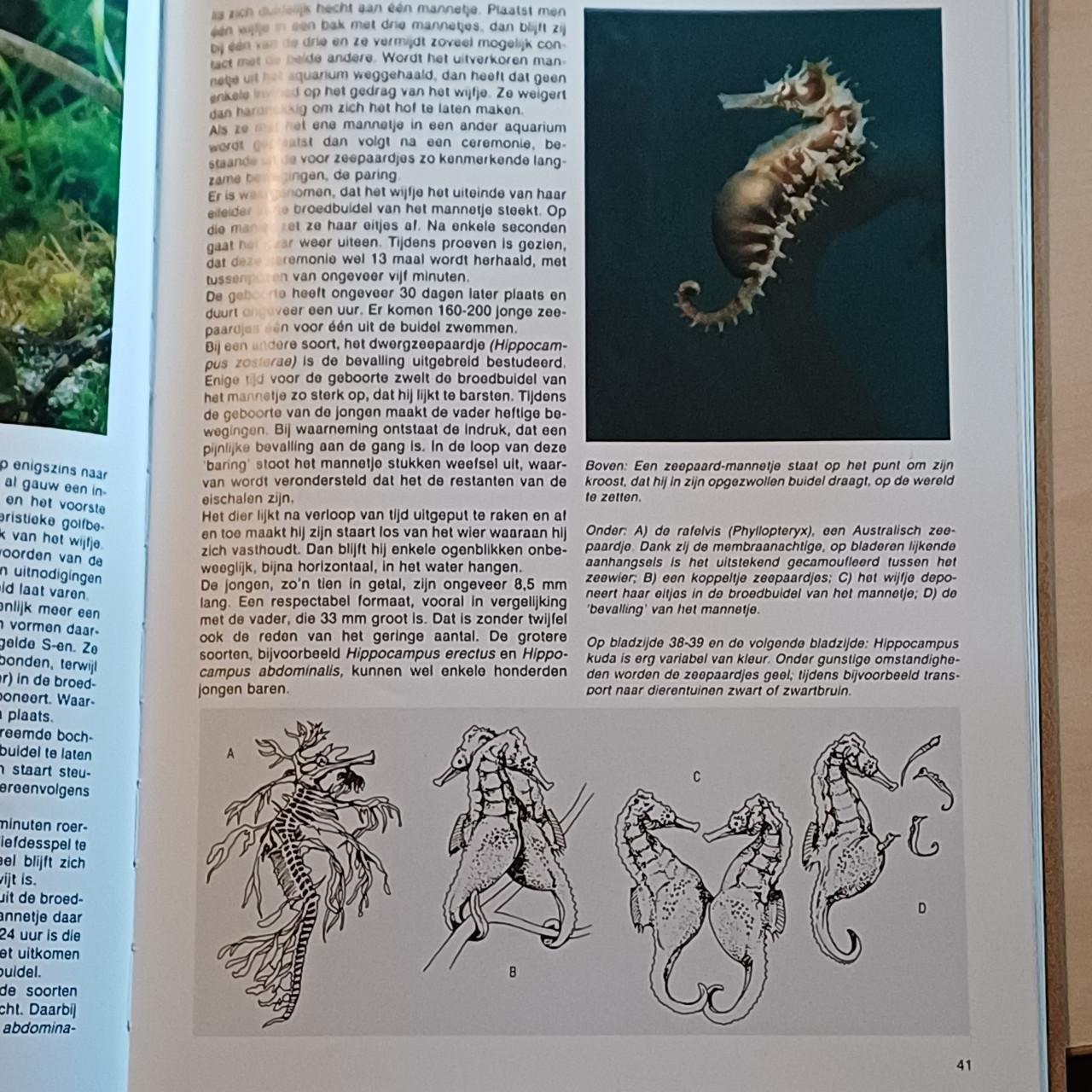 Dierenwereld encyclopedie