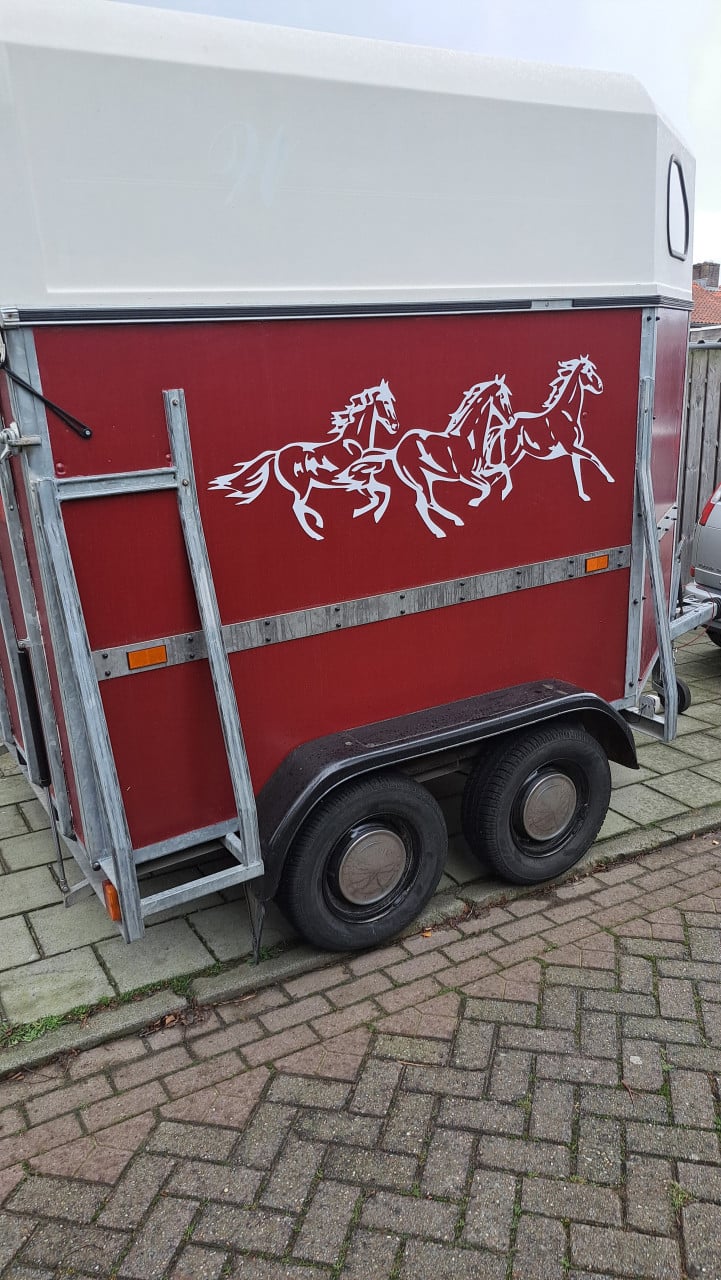 2 paardstrailer