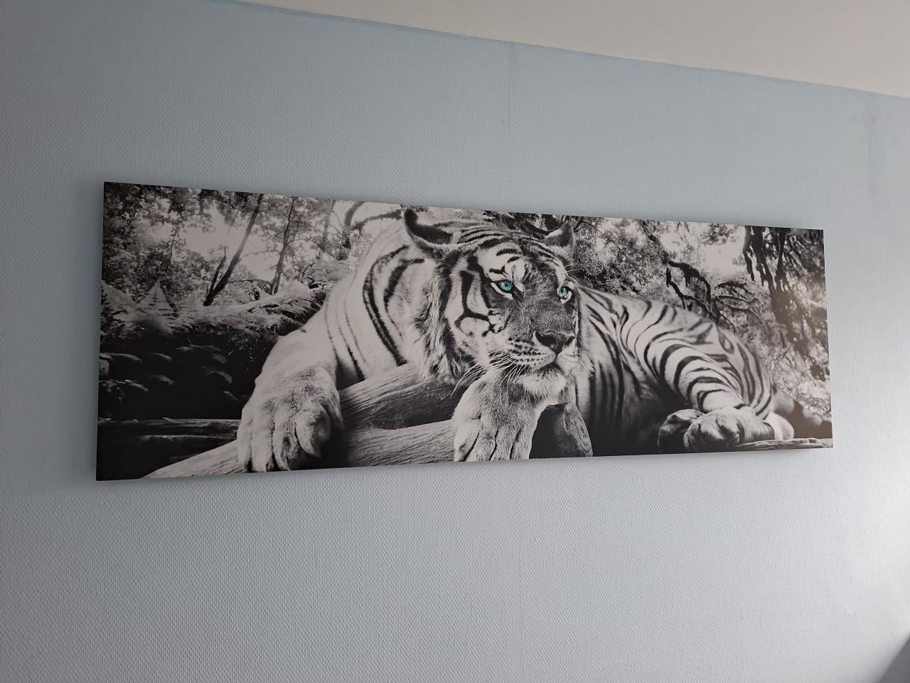 Schilderij tijger (zwart-wit) GRATIS