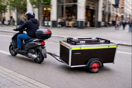 Fietskar/ bagagewangen XL