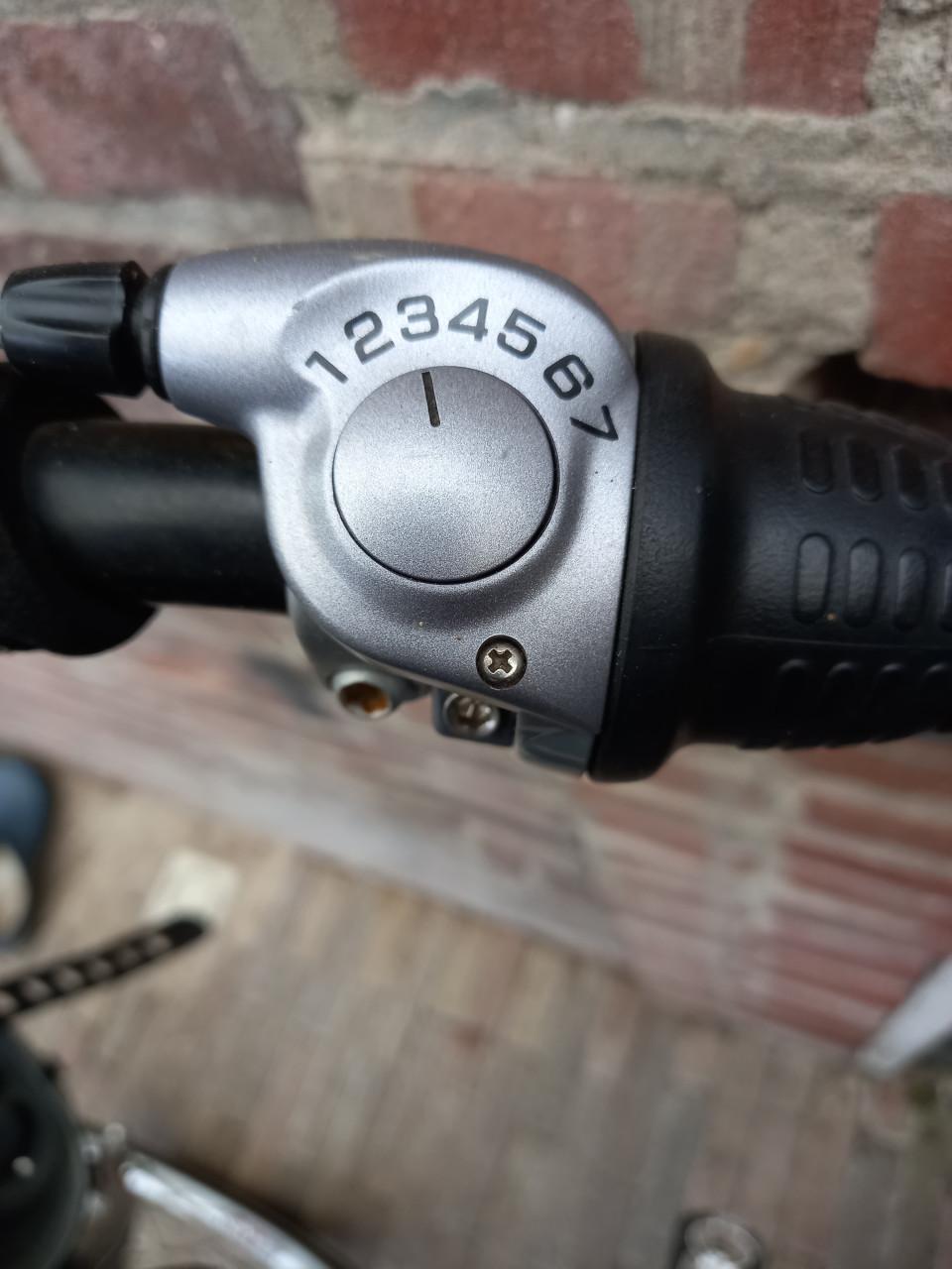 Mooie mamafiets met kinderstoeltjes voor en achter