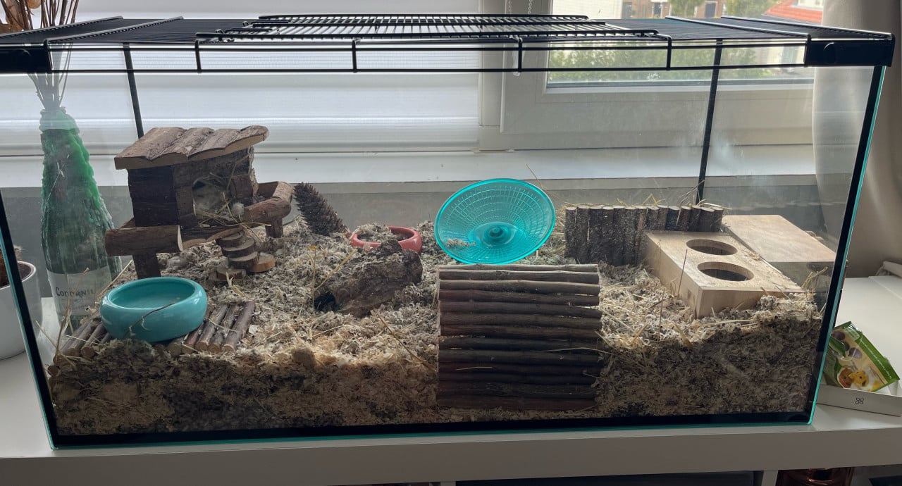 Terrarium glas