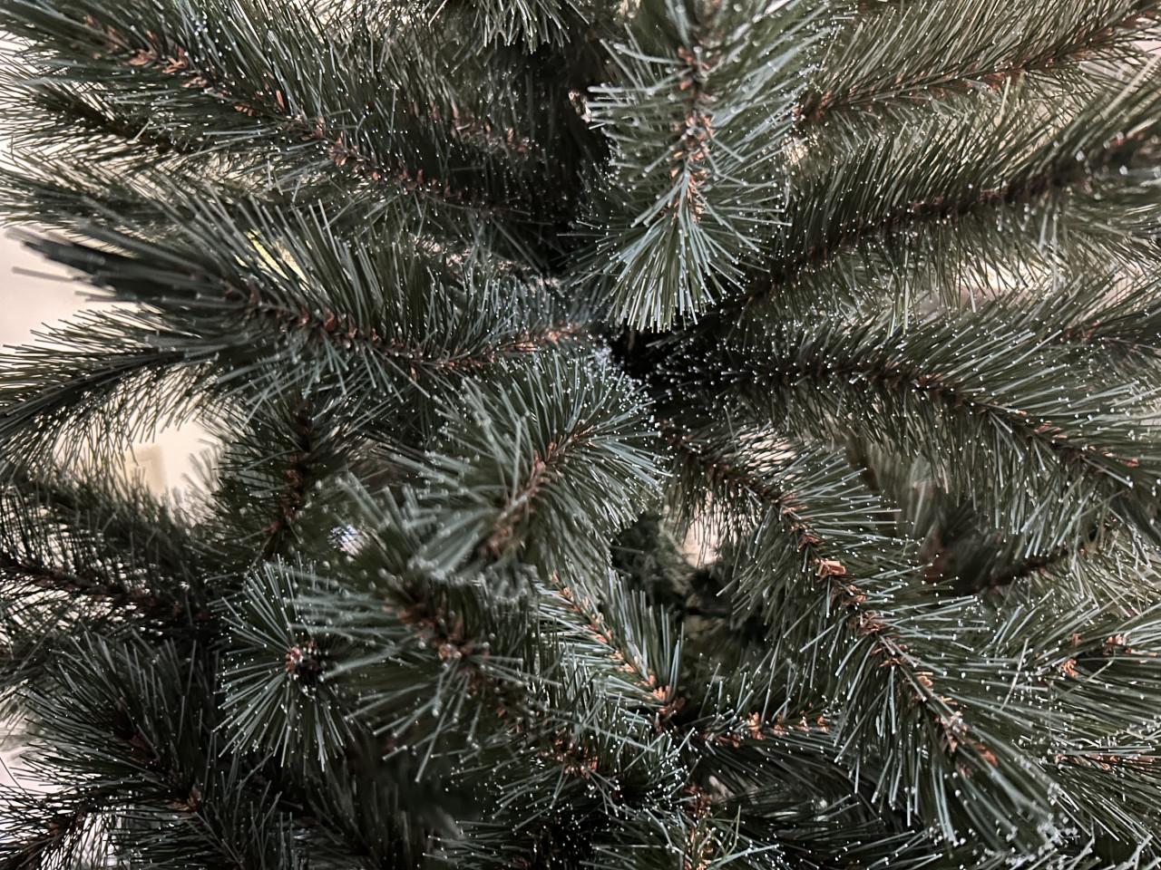 Kerstboom , 1 keer opgezet. Intratuin , Romagne