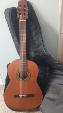 Gitaar Ariana AK-60