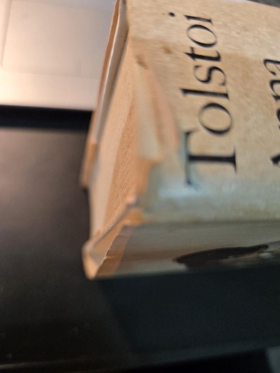 Boek: Anna Karenina van Leo Tolstoi 1973 13e druk