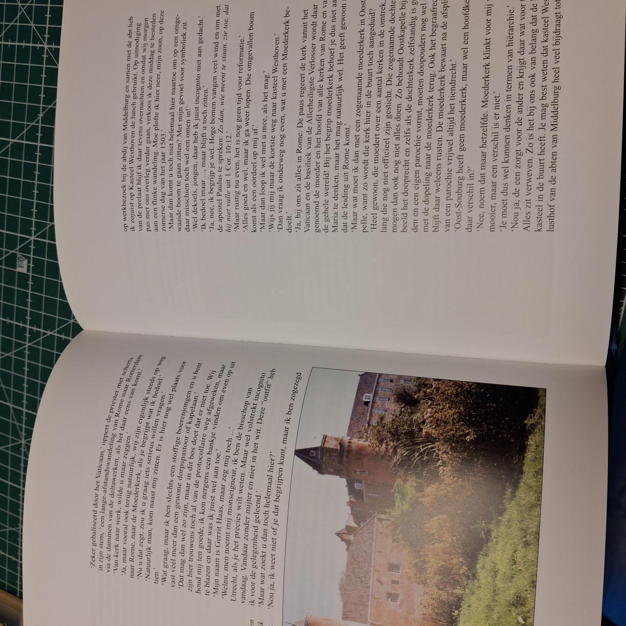 Scheldegotiek