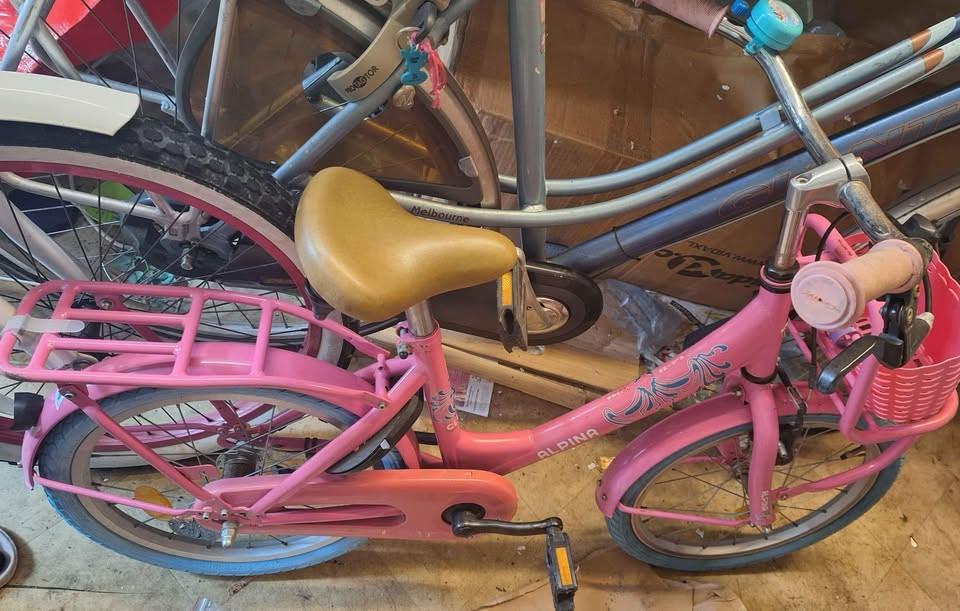 Alpina kinderfiets 18 inch